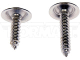 Dorman Trim Screw Assortment Kit (MPN: 961-022D)