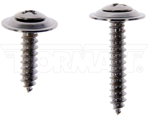 Dorman Trim Screw Assortment Kit (MPN: 961-022D)