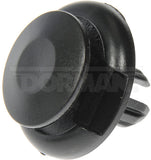 Dorman Push Rivet (MPN: 961-037D)