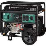 Cummins Onan Portable Generator (MPN: A074Z438)