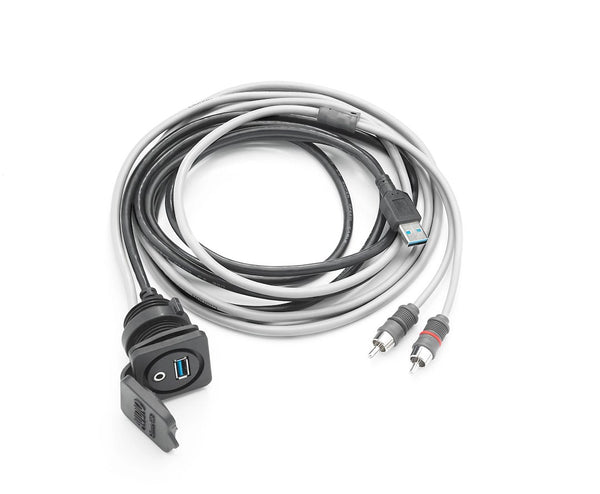 Clarion USB Outlet With AUX Audio Jack (MPN: CMC-USB/3.5MM-PNL)