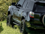 Cali Raised LED Nerf Bar Step Edition (MPN: CR2892)