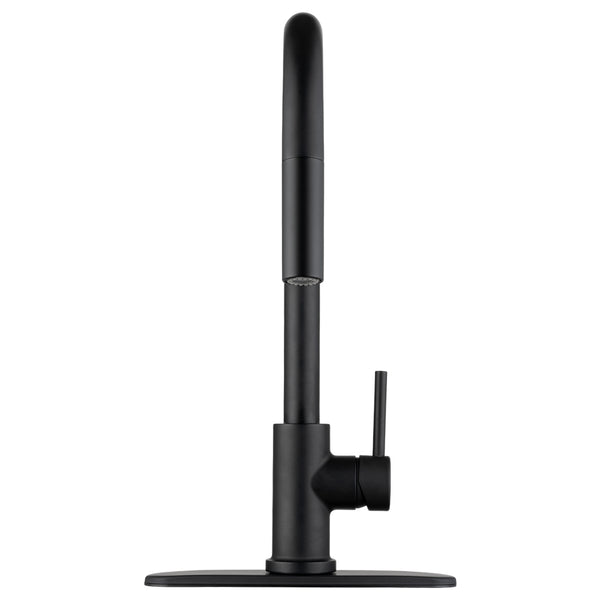 Dura Faucet Kitchen Faucet (MPN: DF-NMK540-MB)
