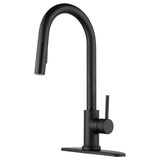 Dura Faucet Kitchen Faucet (MPN: DF-NMK540-MB)
