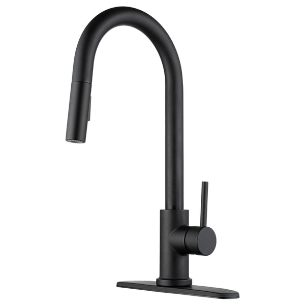 Dura Faucet Kitchen Faucet (MPN: DF-NMK540-MB)