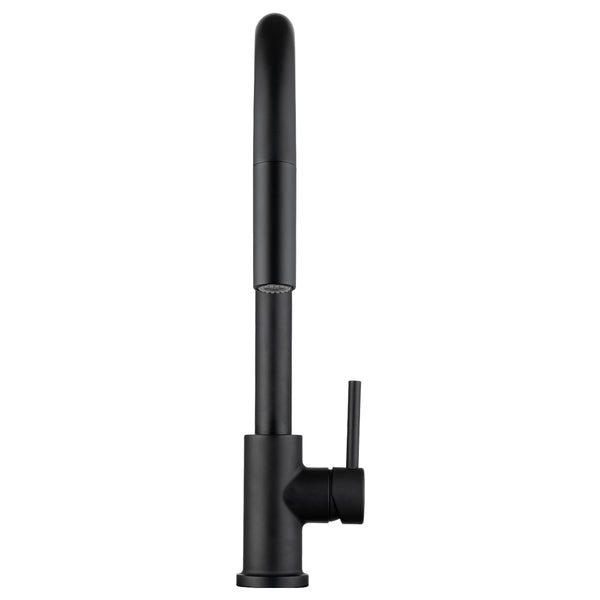 Dura Faucet Kitchen Faucet (MPN: DF-NMK540-MB)
