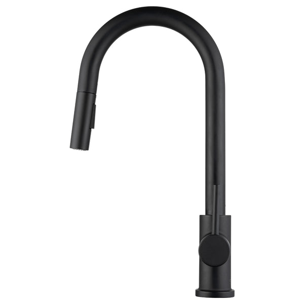 Dura Faucet Kitchen Faucet (MPN: DF-NMK540-MB)
