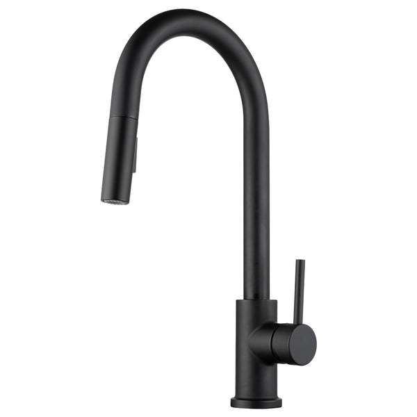 Dura Faucet Kitchen Faucet (MPN: DF-NMK540-MB)