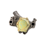 Dayco Water Pump (MPN: DP967)