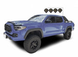 Black Horse Gladiator Roll Bar (MPN: GLRB-03B-PLB)