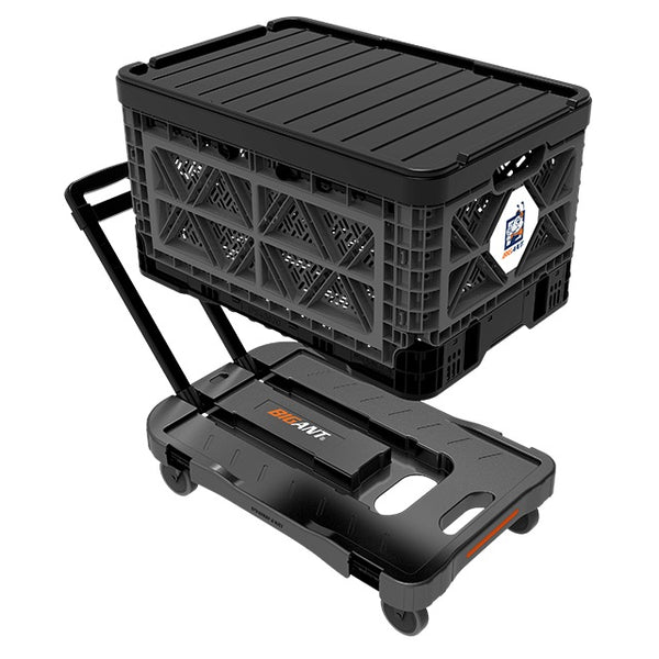 Big Ant Collapsible Container Hand Cart (MPN: H-IP54)
