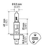 Hella Halogen Headlight Bulb (MPN: H1)