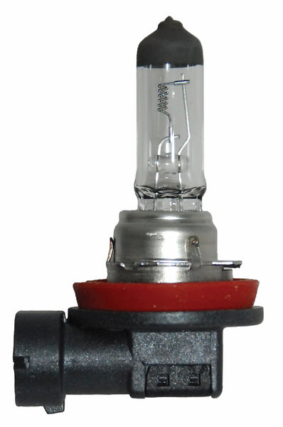 HELLA Halogen Headlight Bulb (MPN: H11 24V)