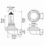 HELLA Halogen Headlight Bulb (MPN: H11 24V)