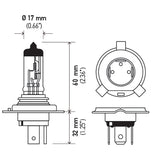 Hella Halogen Headlight Bulb (MPN: H4)
