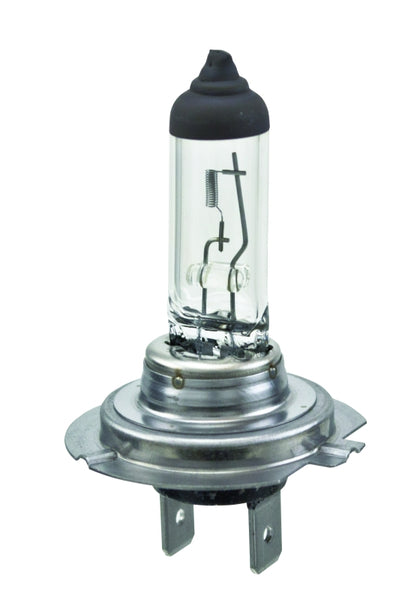Hella Halogen Headlight Bulb (MPN: H7)