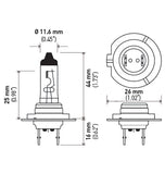 Hella Halogen Headlight Bulb (MPN: H7)