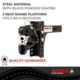Husky Pintle Hook With 2 Inch Receiver Mount (MPN: 33110)