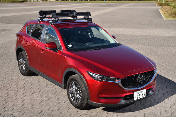 INNO Ski Carrier Roof Rack Kit (MPN: INA951)