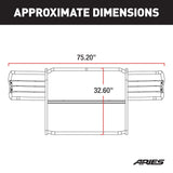 Aries Grille Guard (MPN: 3046F)