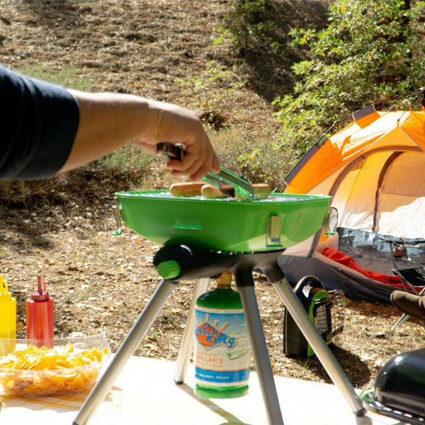 Flame King Propane Grill (MPN: YSNVT-301)