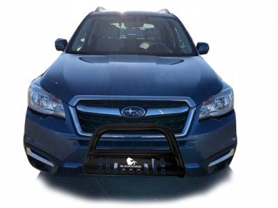Black Horse Off Road Bull Bar (MPN: CBB-SUS0102SP)