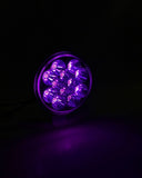 Quake LED Headlight Assembly (MPN: QTE797)