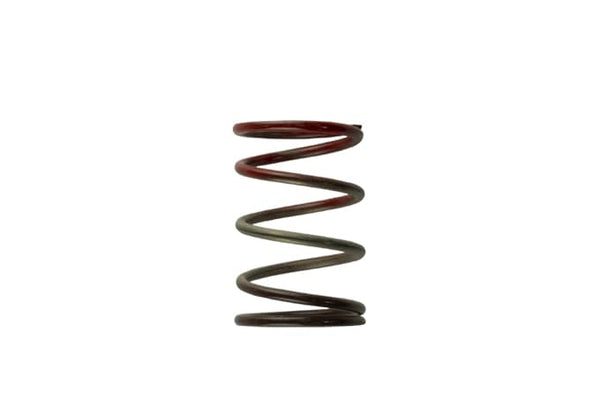 Turbosmart Wastegate Spring (MPN: TS-0505-2004)
