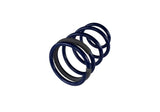 Ford Performance Coil Spring Set (MPN: M-5300-KA)