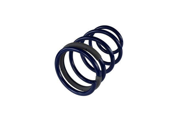 Ford Performance Coil Spring Set (MPN: M-5300-KA)