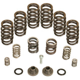 BD Diesel Fuel Injection Pump Governor Spring (MPN: 1040185)