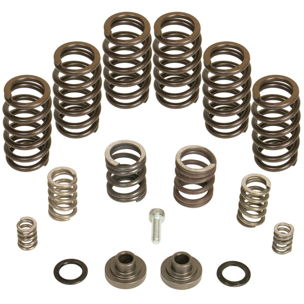 BD Diesel Fuel Injection Pump Governor Spring (MPN: 1040185)