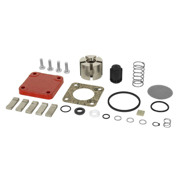 Fill-Rite Liquid Transfer Tank Pump Repair Kit (MPN: 4200KTF8739)
