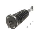 KYB Strut-Plus Strut Assembly (MPN: SR4087)