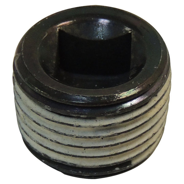Differential Cover Plug (MPN: J4004751)