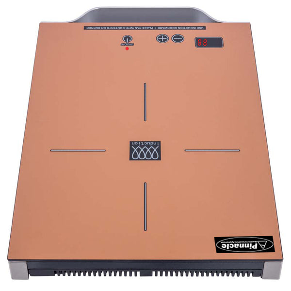 Pinnacle Appliances Induction Cooktop (MPN: PIC 100 CR)