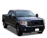 Black Horse Offroad Grille Guard (MPN: 17FP30MSS)
