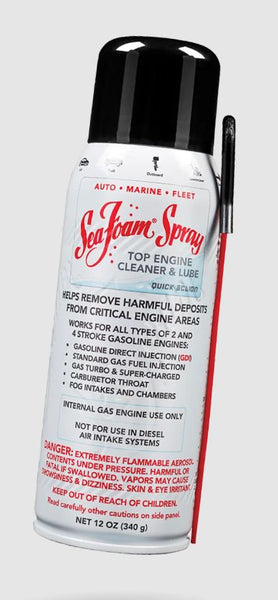 Sea Foam Fuel System Cleaner (MPN: SS14)