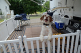 Safety Step Picket Portable Pet Barrier (MPN: P1000)