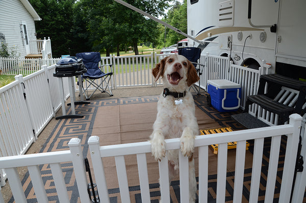 Safety Step Picket Portable Pet Barrier (MPN: P1000)