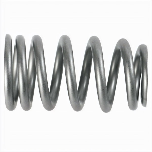 Ford Performance Valve Spring (MPN: M-6513-1219X)