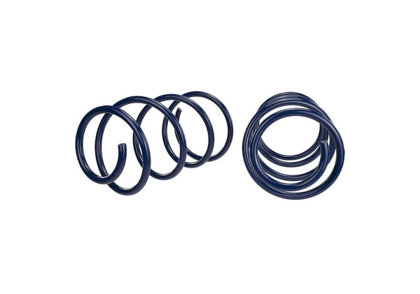 Ford Performance Coil Spring Set (MPN: M-5300-RA)