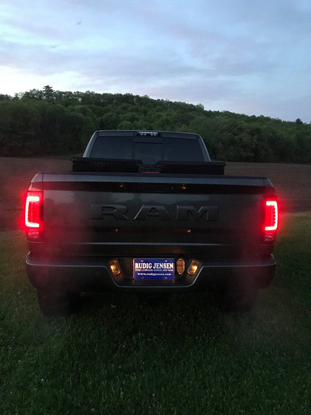 Recon Tail Light Assembly (MPN: 264369BK)