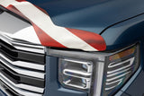 Husky Liners Bug Shield (MPN: 2818519)