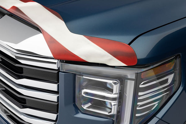 Husky Liners Bug Shield (MPN: 2818519)