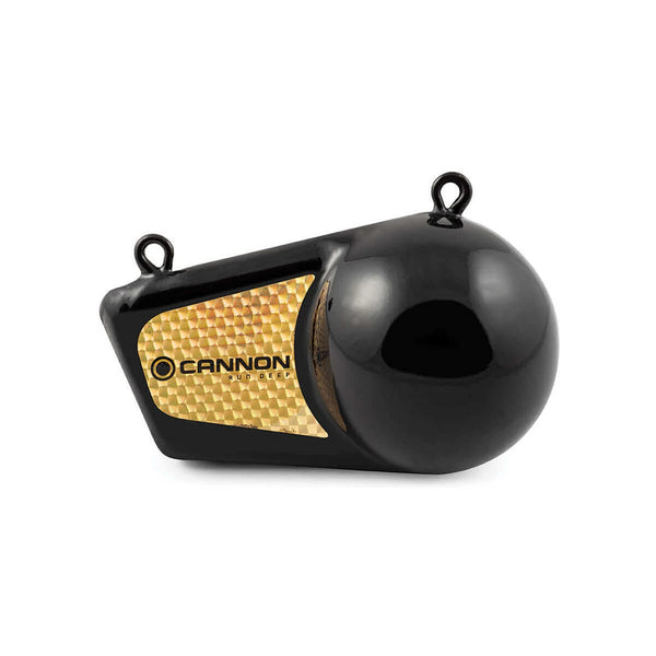 Cannon Downrigger Weight 10 Pound (MPN: 2295184)