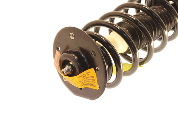 KYB Strut-Plus Strut Assembly (MPN: SR4160)