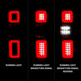 AnzoUSA Tail Light Assembly (MPN: 311419)