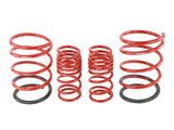 Skunk2 Lowering Kit (MPN: 519-05-1575)