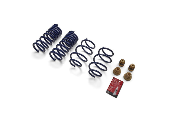 Ford Performance Coil Spring Set (MPN: M-5300-XA)